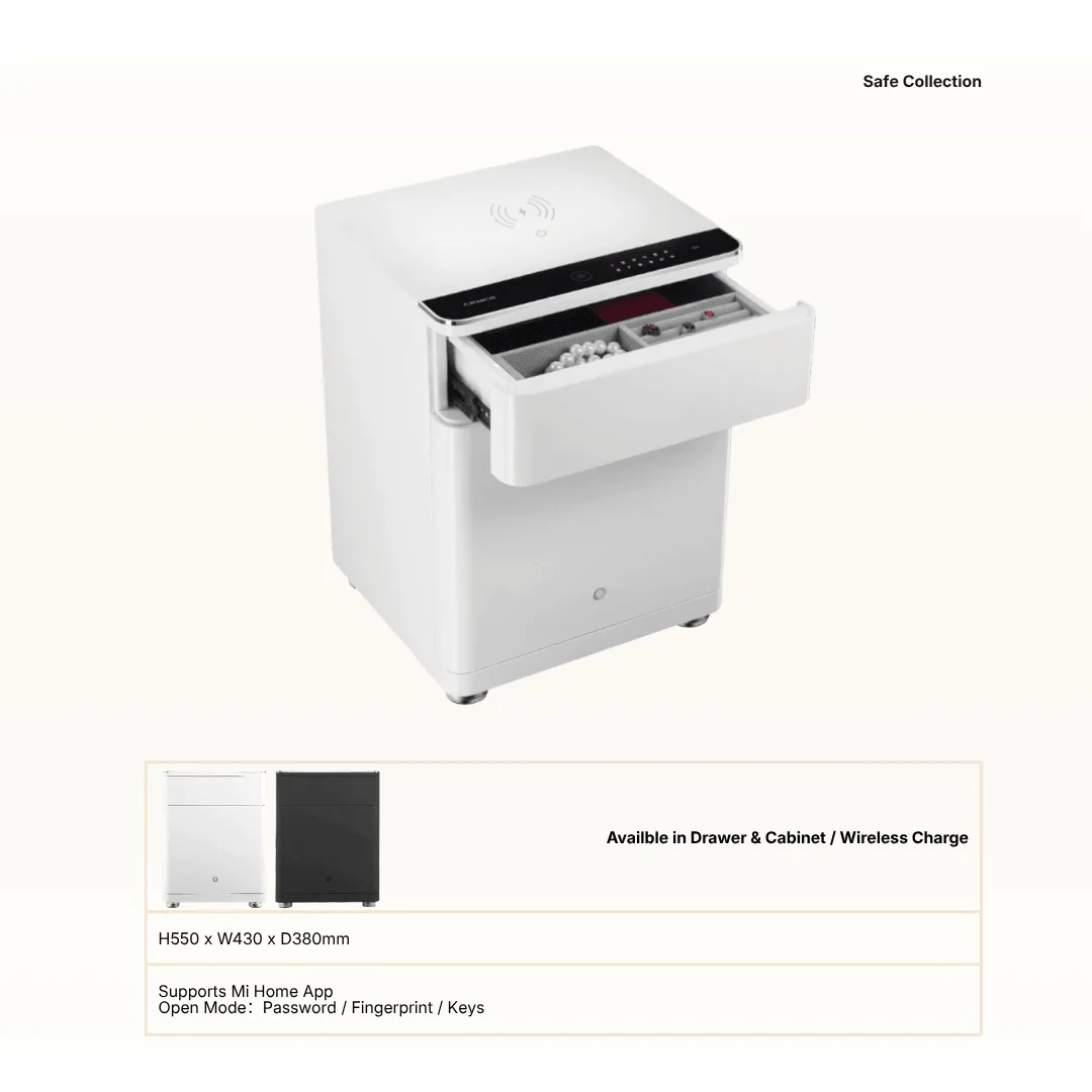 Office safety box and secure storage 8 - Santa Office System, Johor Bahru